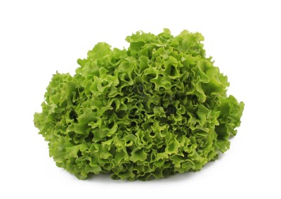 Салат романо 1 кг - купить в Сердоусь