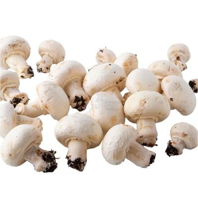 Шампиньоны свежие 500 г - купить в Сердоусь